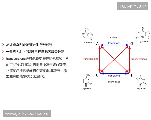战术灵活性的训练方法论,战术训练的主要方法有哪些 战术灵活性的训练方法论,战术训练的主要方法有哪些
